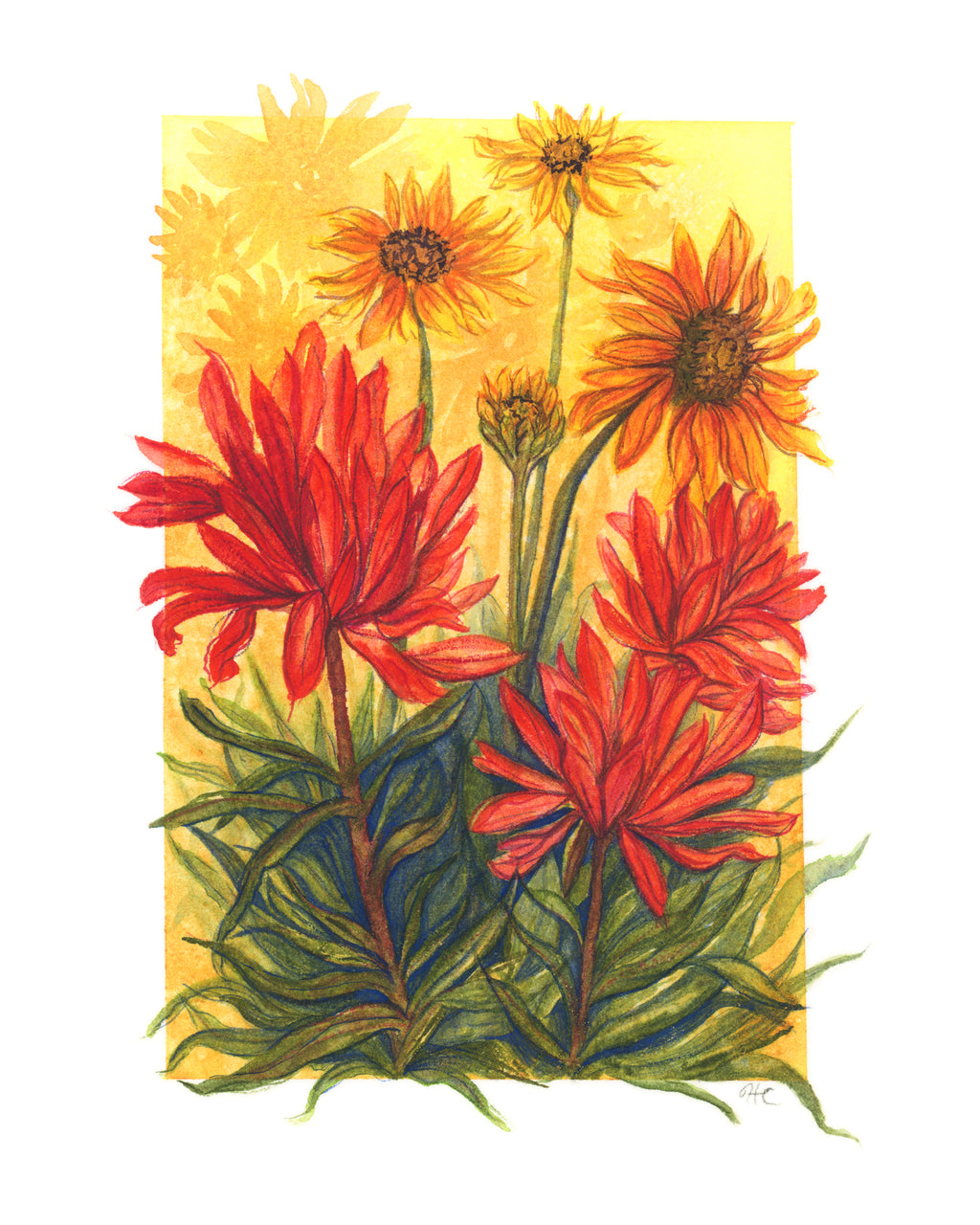 A watercolor painting of a bouquet of vibrant red Indian paintbrush and yellow blanketflowers with green leaves on a yellow background.