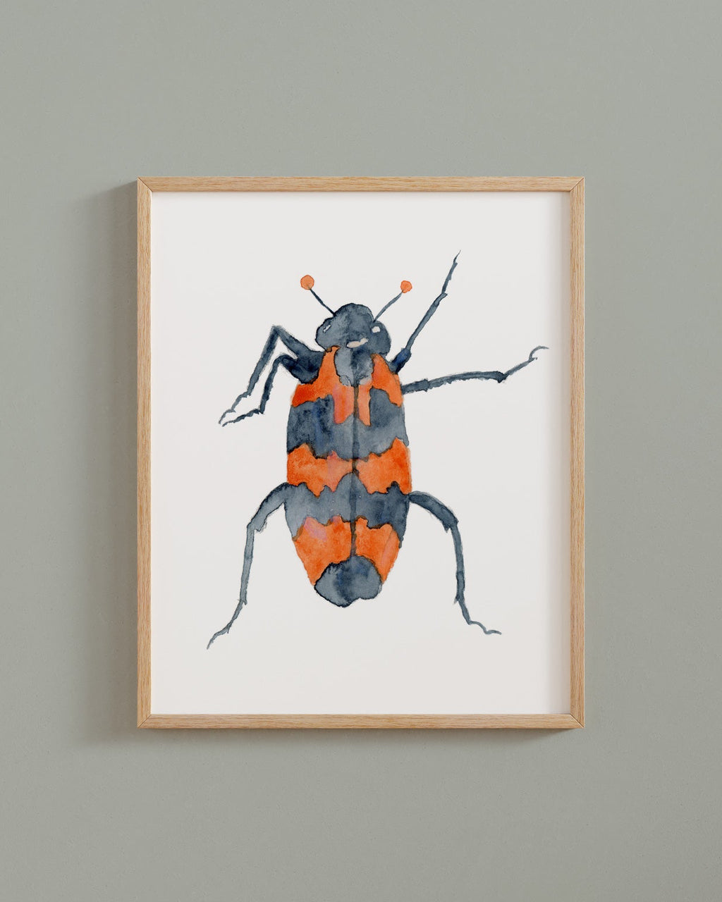 Framed watercolor painting of an orange and black checkered beetle on a plain background