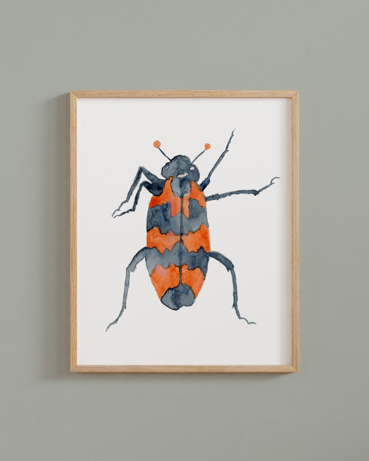 Framed watercolor painting of an orange and black checkered beetle on a plain background