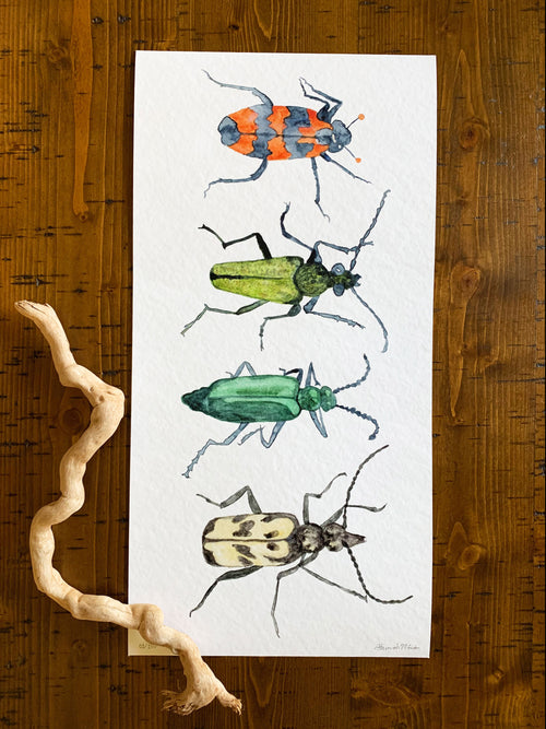 A 10x20" fine art print of four watercolor beetles with a white background.