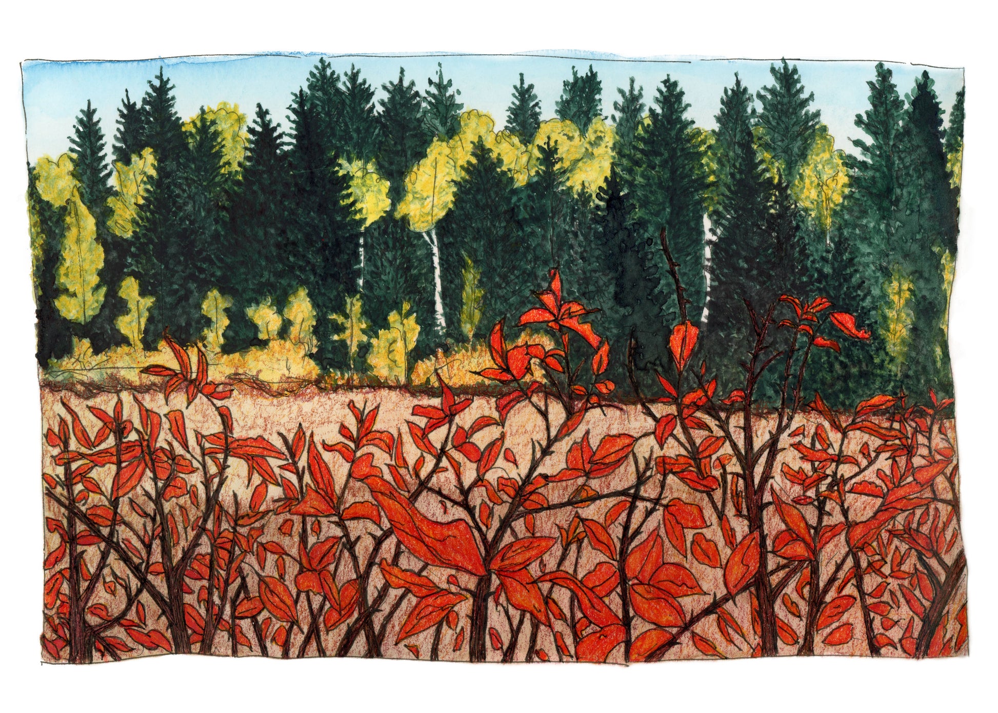 Grand Mesa Colorado Fall Colors Watercolor Print 5x7