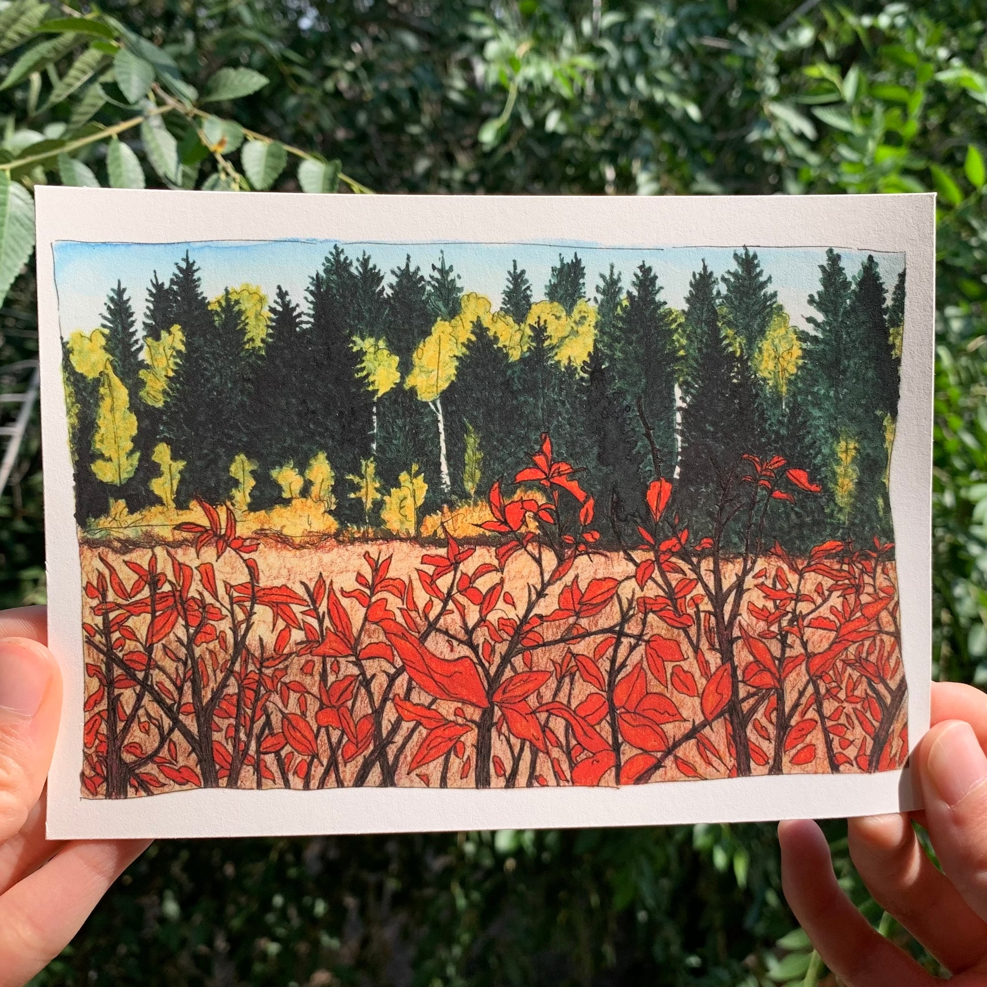 Grand Mesa Colorado Fall Colors Watercolor Print 5x7