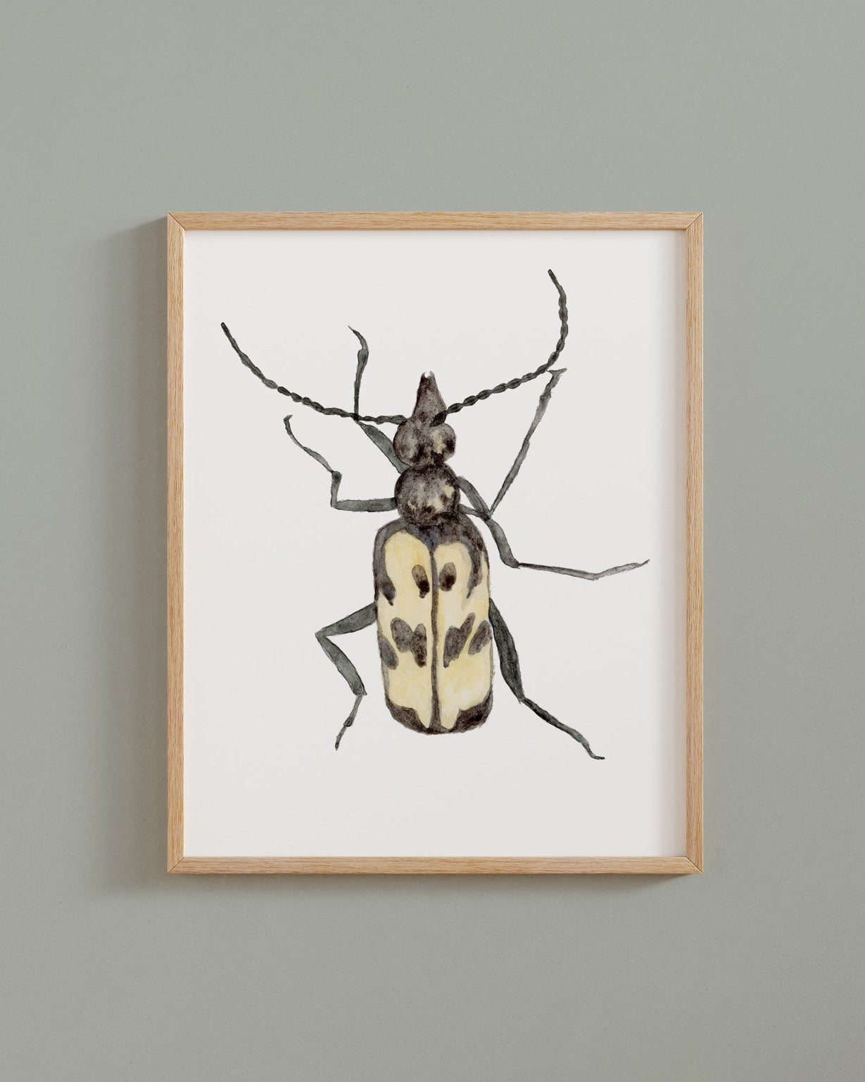 Framed watercolor painting of a beetle on a white background