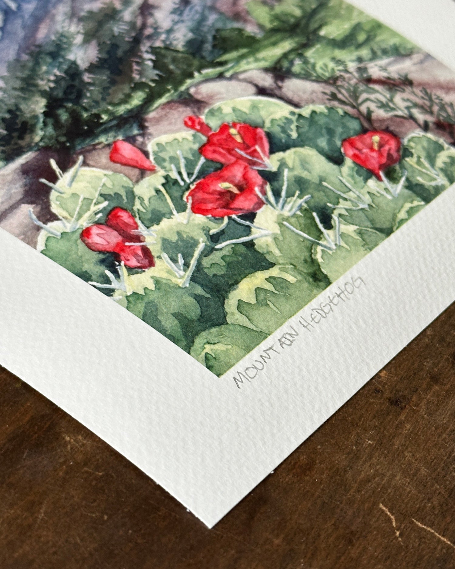 Watercolor painting of red claret cup cactus flowers in a mountain landscape on a textured paper background