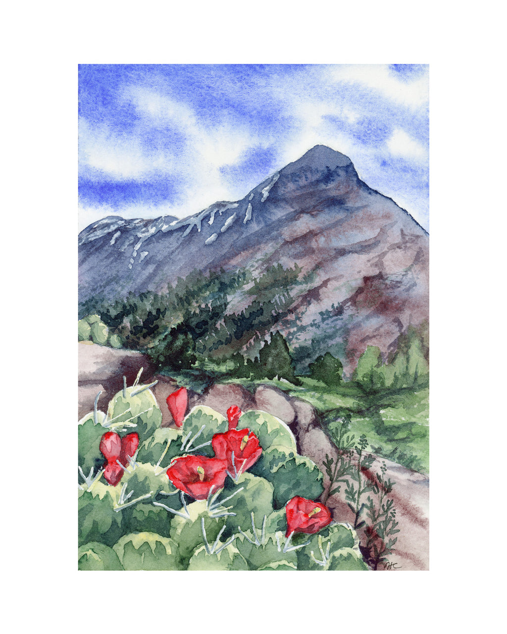 Watercolor painting of a mountain landscape with red claret cup cactus flowers in the foreground