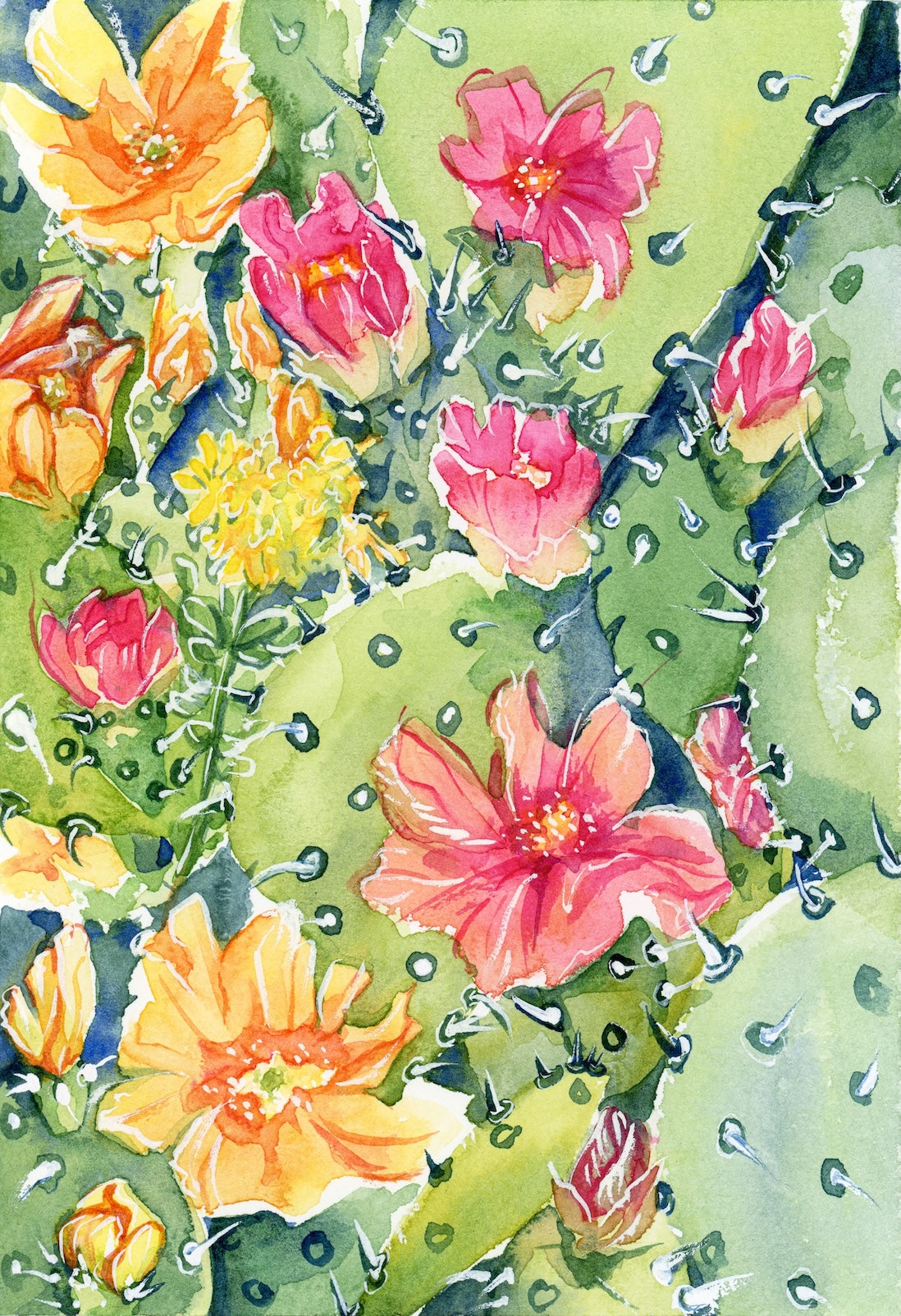 Watercolor painting of pink and yellow prickly pear cactus blossoms.