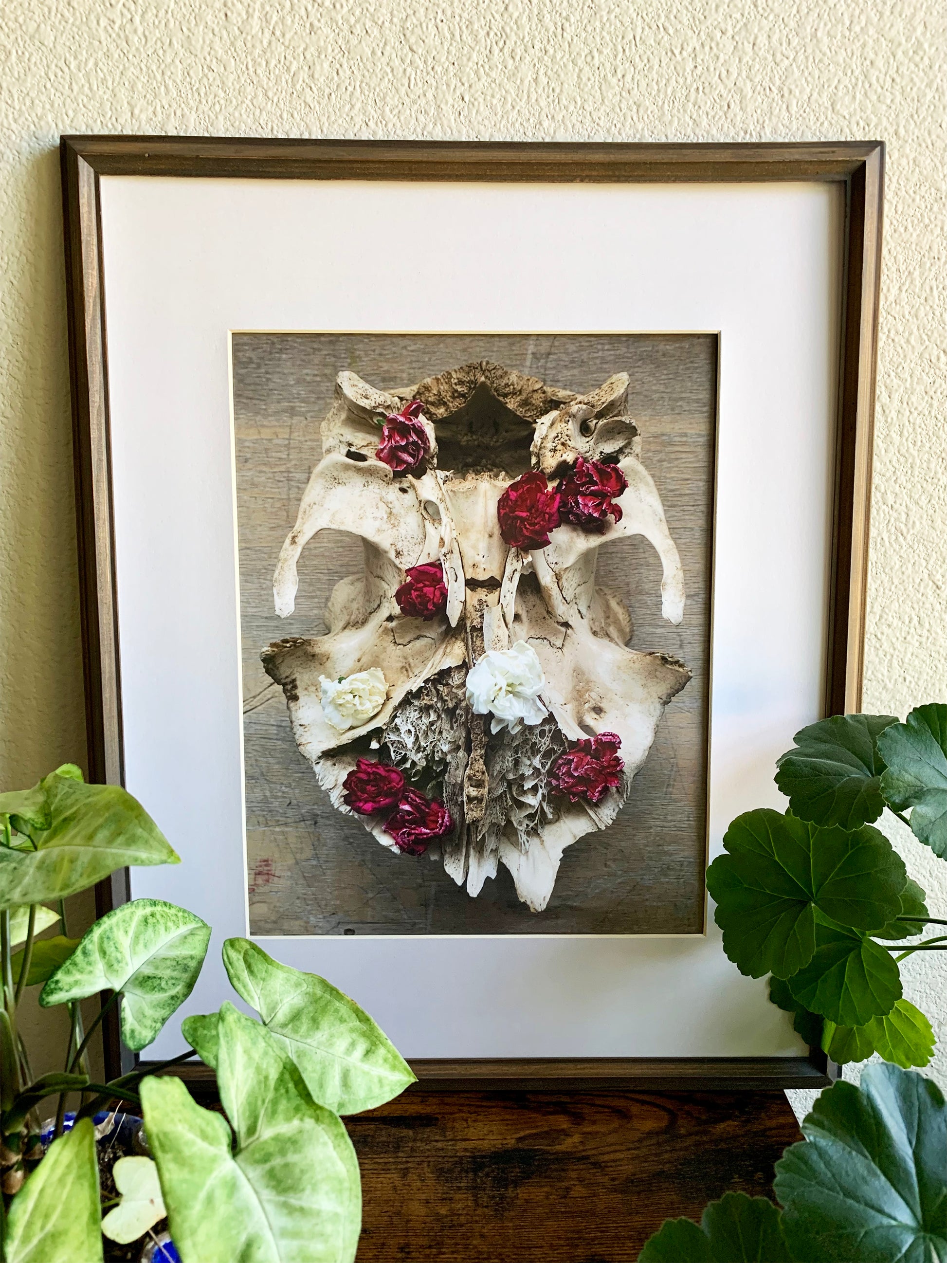 Lace Skull Portrait Photo Print 11x14