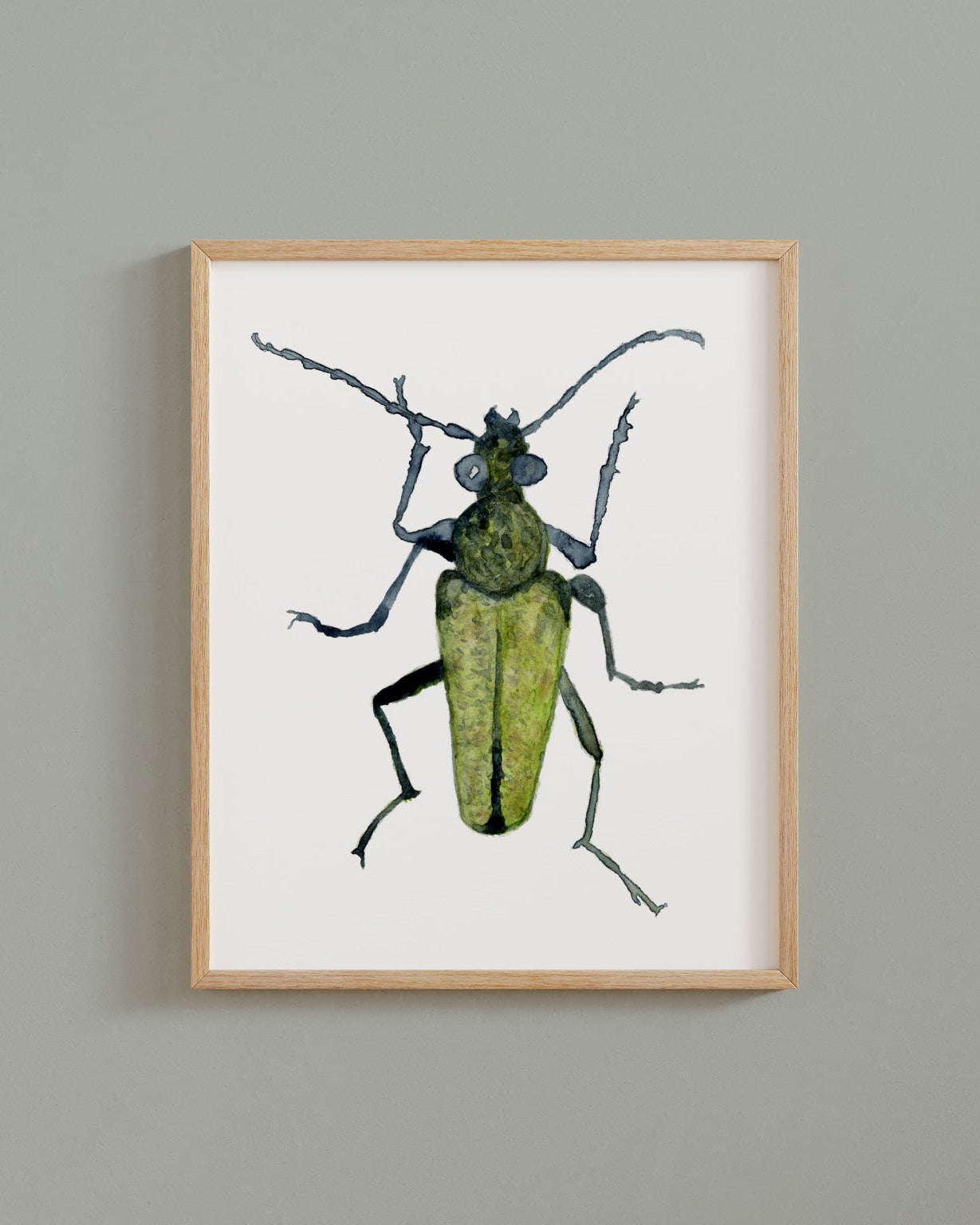 Framed artwork of a yellow velvet beetle on a white background