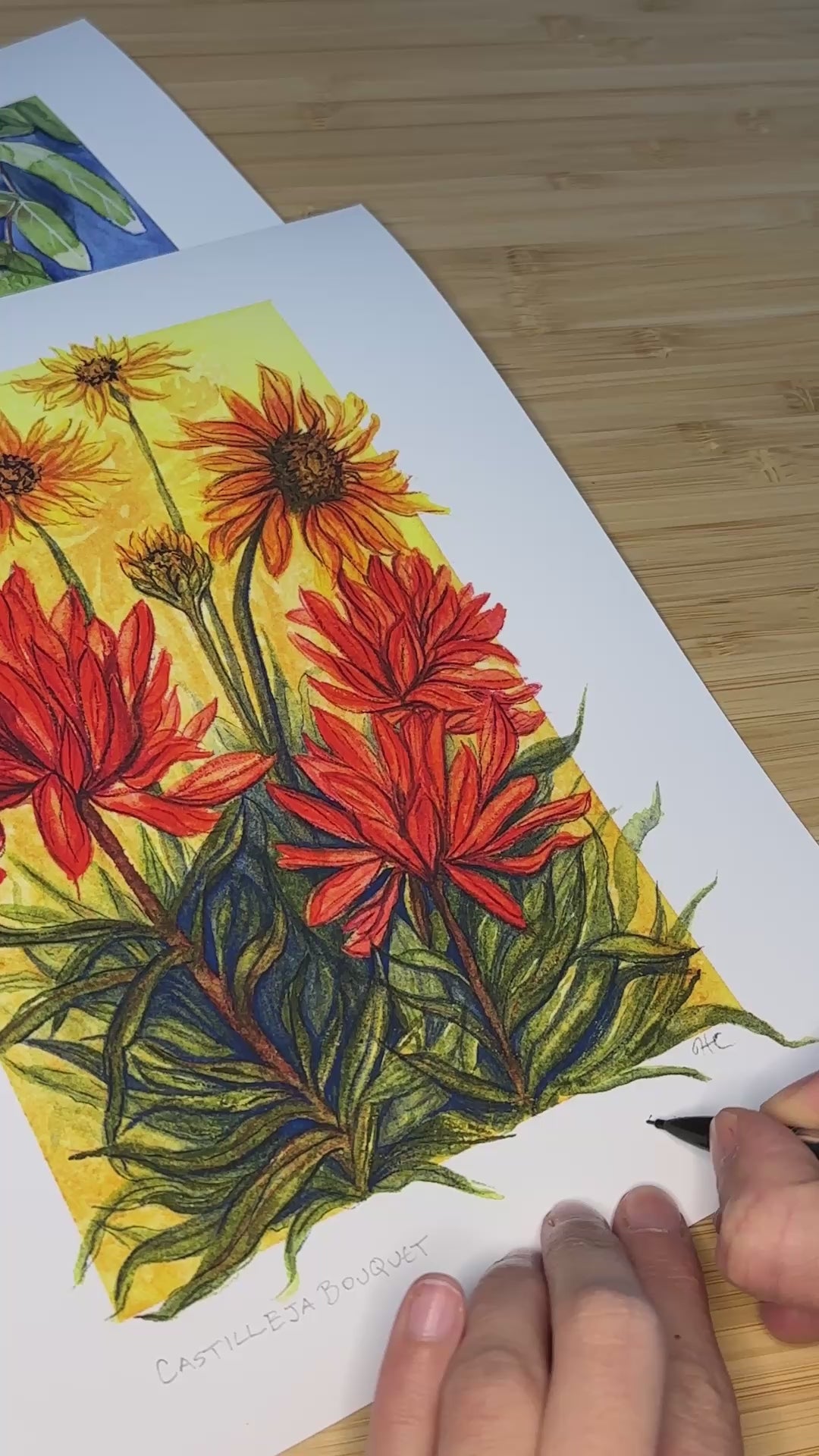 Castilleja Bouquet | Indian Paintbrush Watercolor Art Print